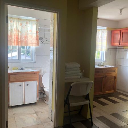 Sea World Vacation Home Roseau Exterior foto